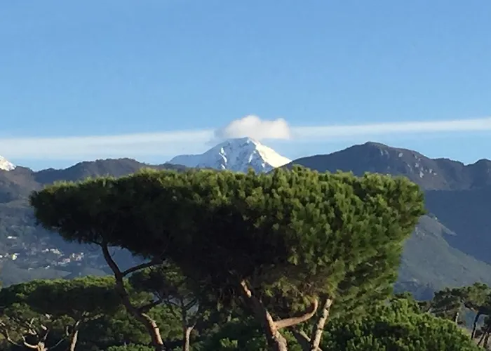 Hotel apartamentowy Riviera 4*